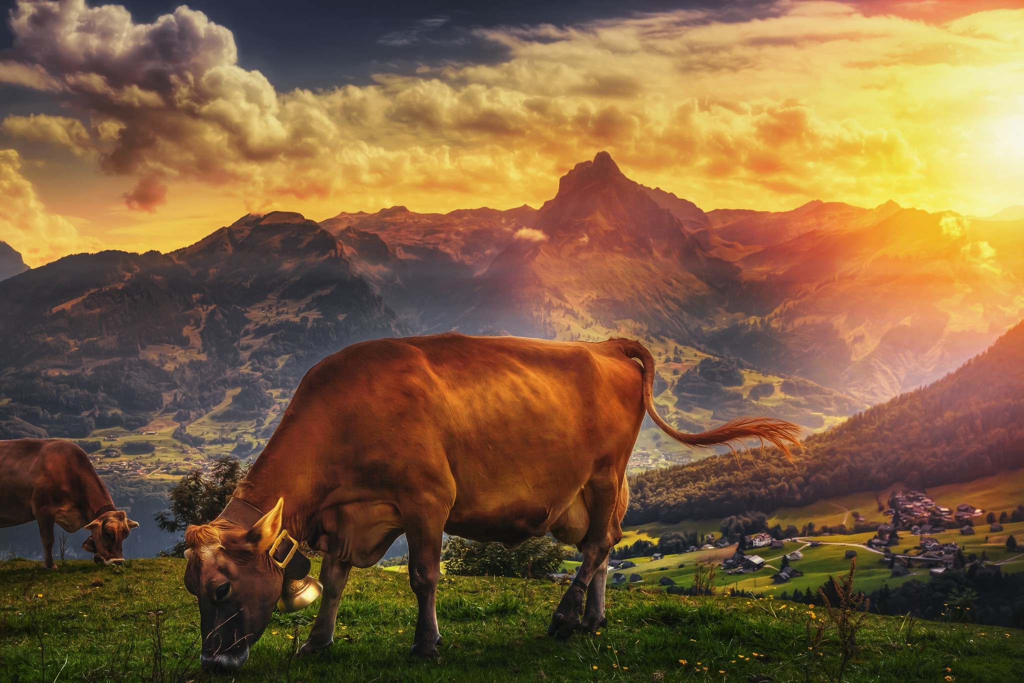 landscape mountains sun sunlight rocks cows bell clouds grass Wallpaper