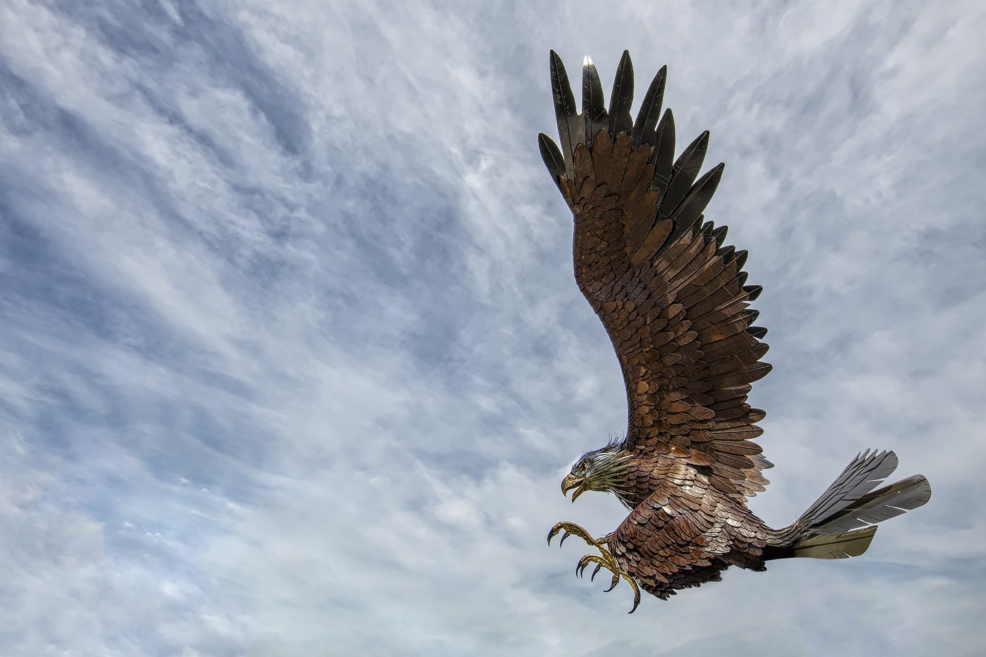 eagle clouds animals Wallpaper