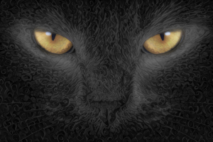 deep art cat closeup