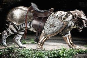 animals armor tiger medieval warcraft