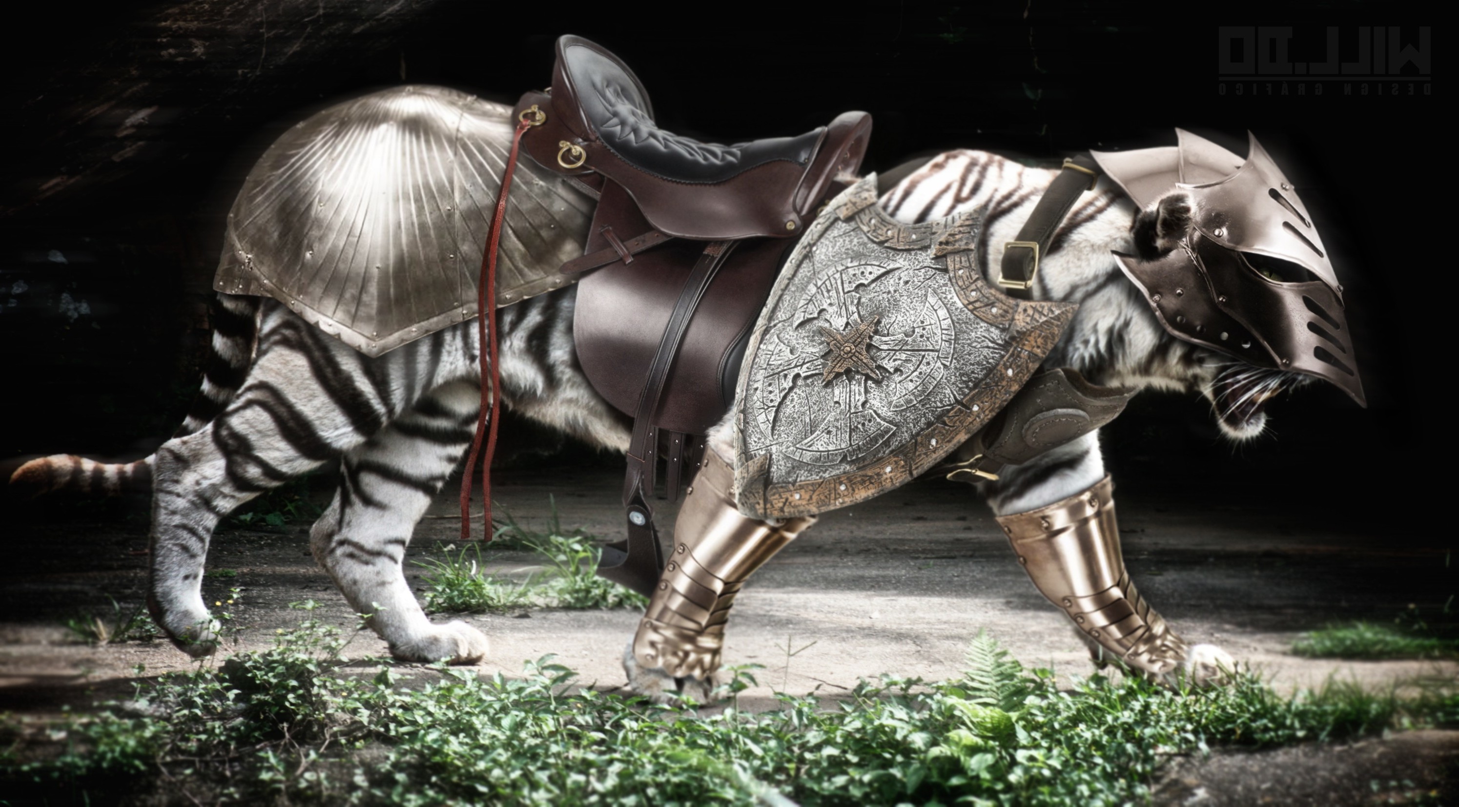 animals armor tiger medieval warcraft Wallpaper