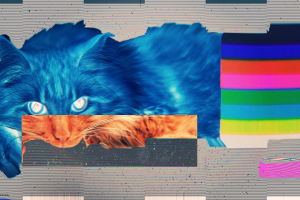 glitch art cat lsd abstract
