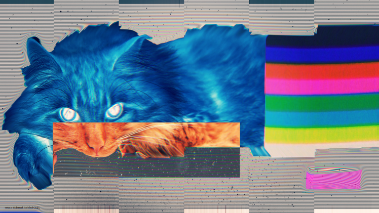 glitch art cat lsd abstract HD Wallpaper Desktop Background
