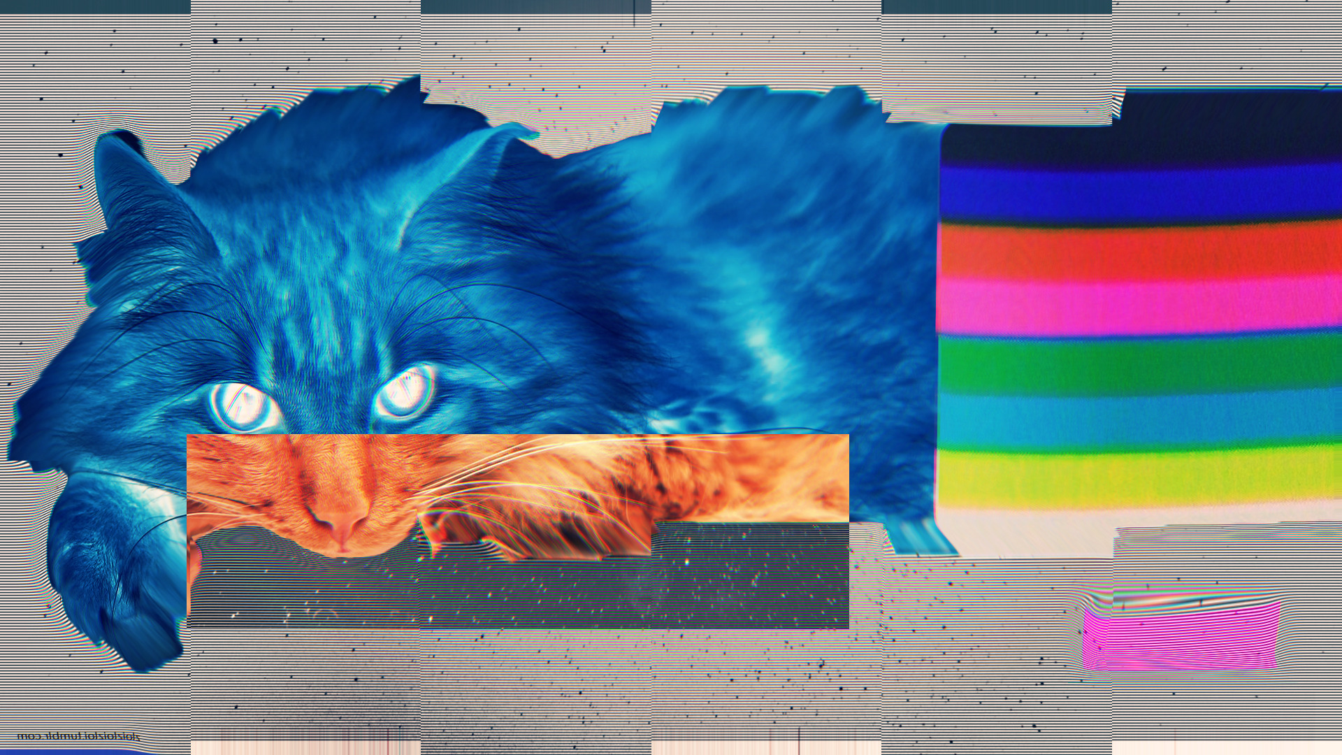 glitch art cat lsd abstract Wallpaper