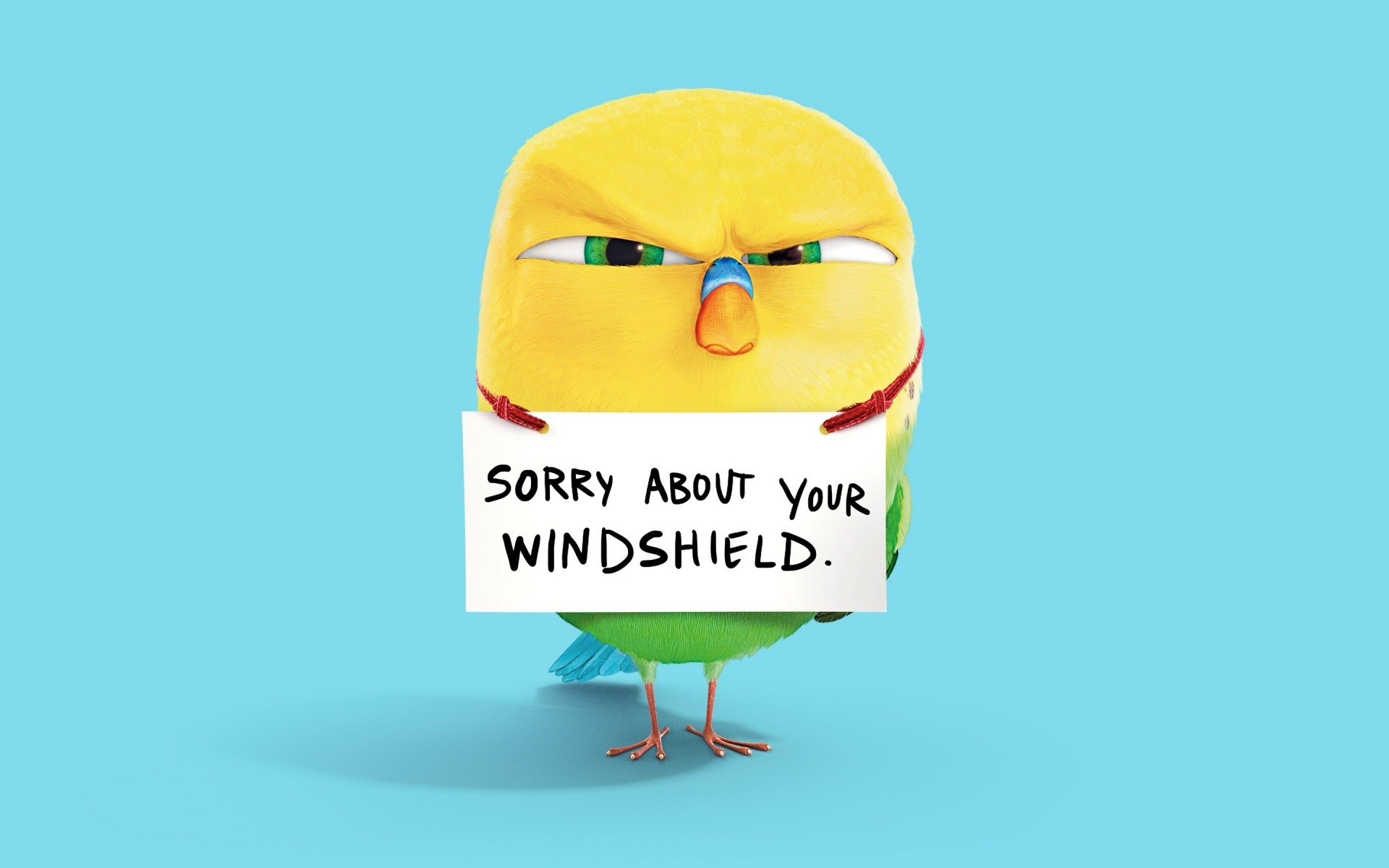 text birds artwork yellow humor simple background Wallpaper