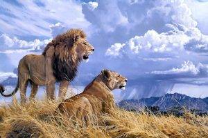 lion mountains clouds animals