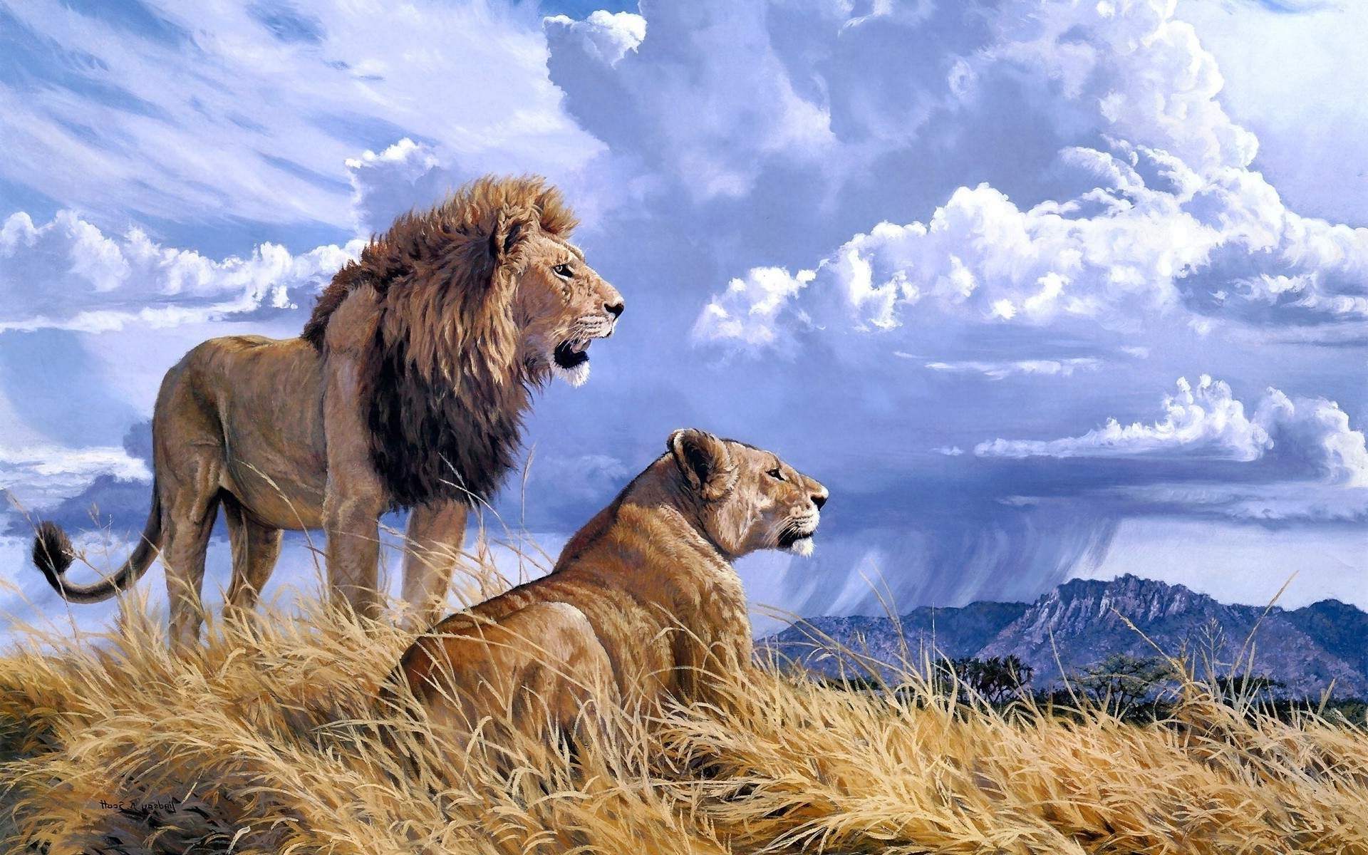 lion mountains clouds animals Wallpapers HD / Desktop and Mobile