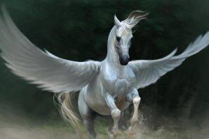 pegasus horse wings animals