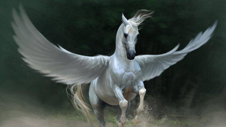 pegasus horse wings animals HD Wallpaper Desktop Background