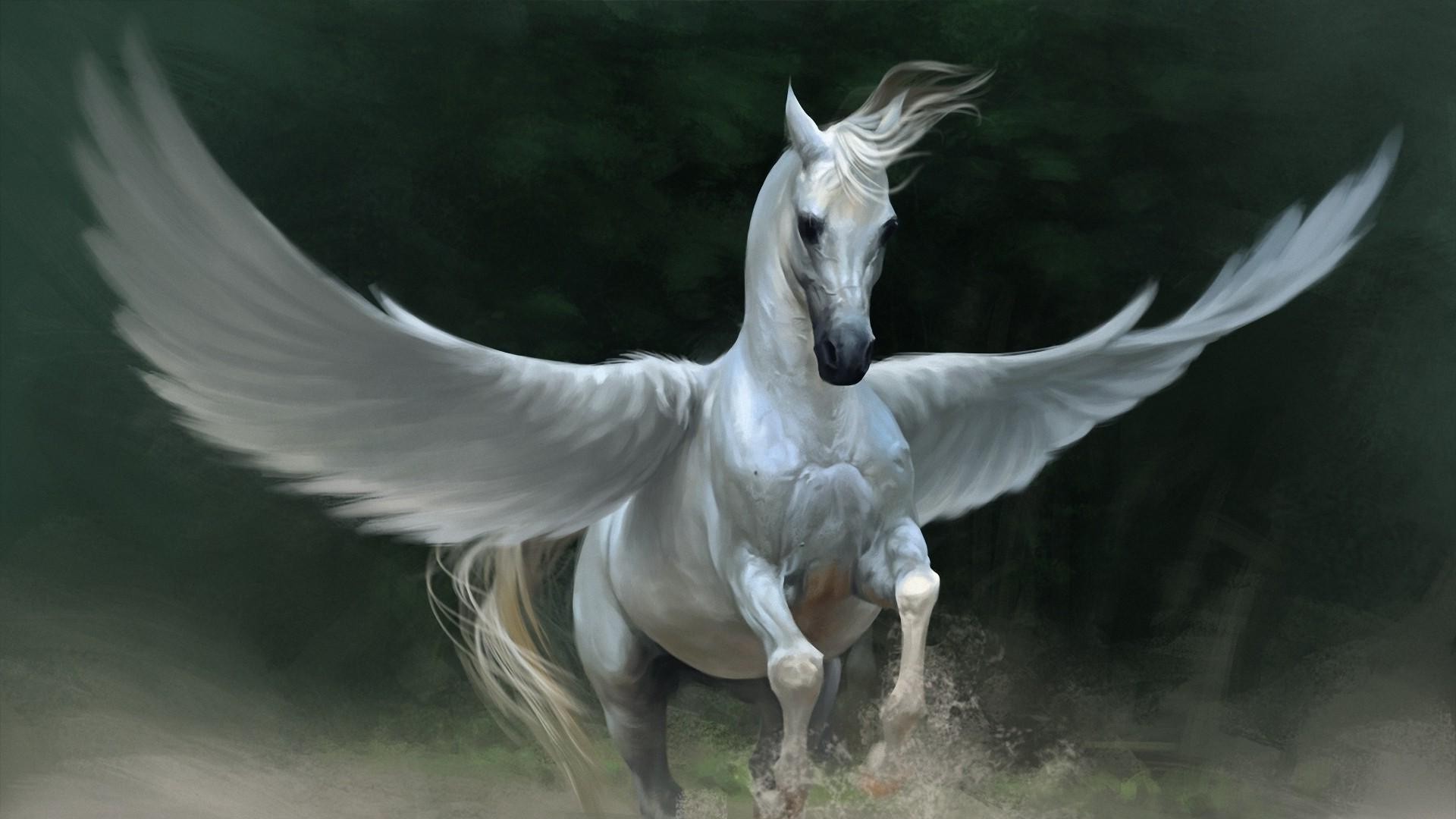 pegasus horse wings animals Wallpapers HD / Desktop and Mobile Backgrounds