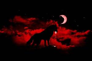 wolf fantasy art moon animals night