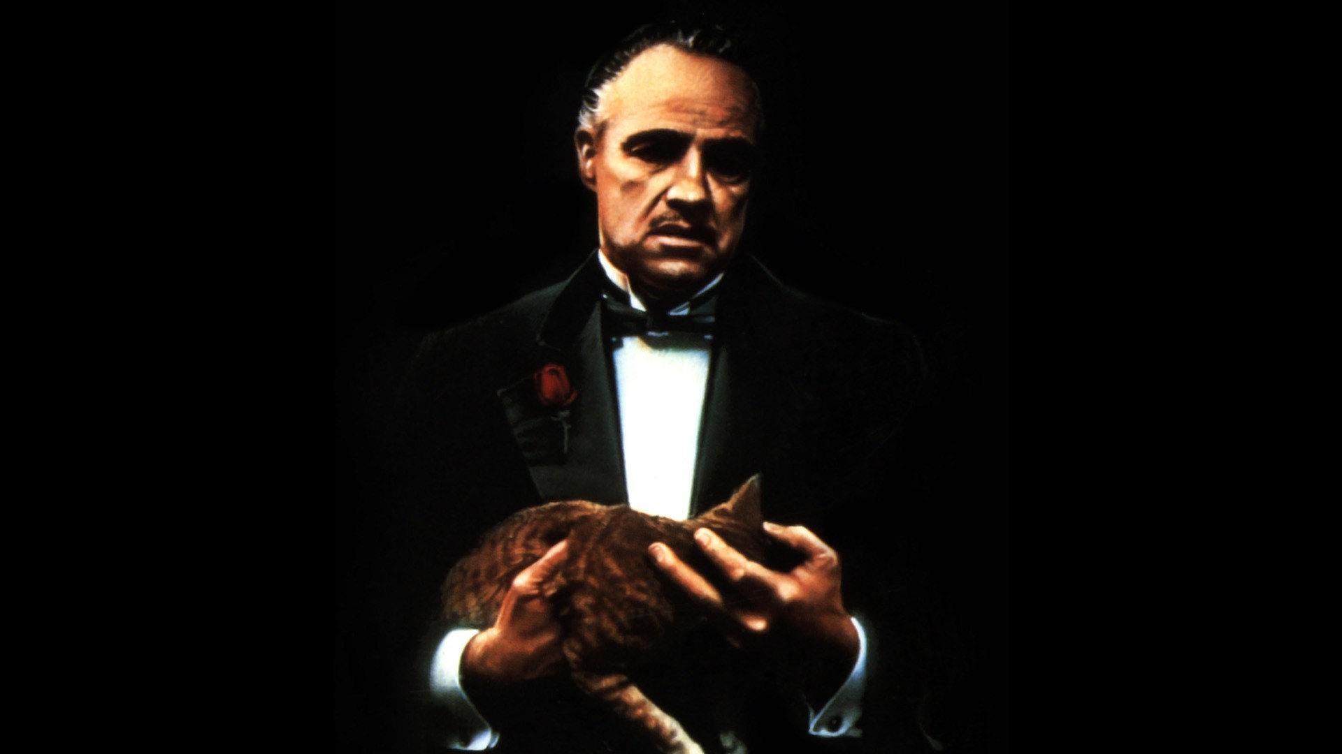 marlon brando the godfather cat Wallpapers HD / Desktop and Mobile