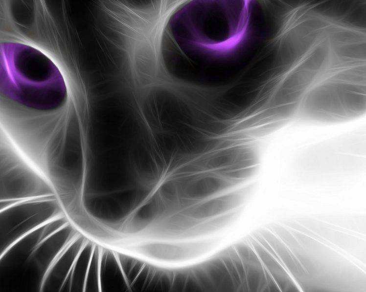 cat animals artwork HD Wallpaper Desktop Background