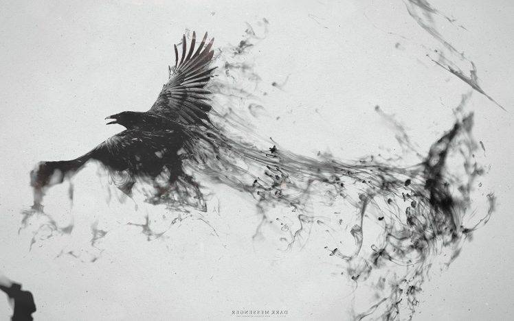 birds raven HD Wallpaper Desktop Background