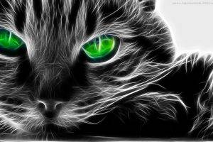 fractalius cat green eyes