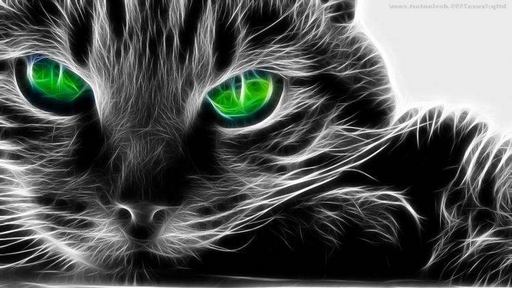 fractalius cat green eyes HD Wallpaper Desktop Background