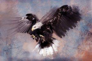 artwork birds eagle