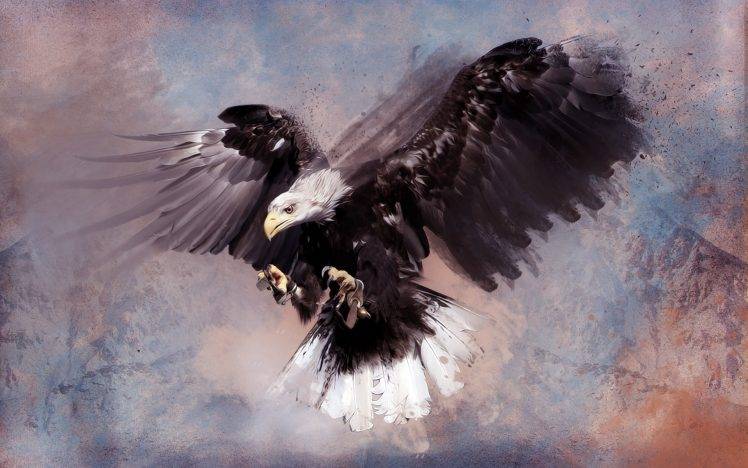 artwork birds eagle HD Wallpaper Desktop Background