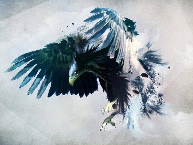 eagle birds artwork feathers HD Wallpaper Desktop Background