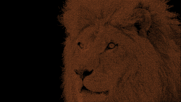 ascii art lion simple HD Wallpaper Desktop Background