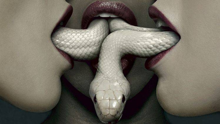 snake american horror story horror HD Wallpaper Desktop Background