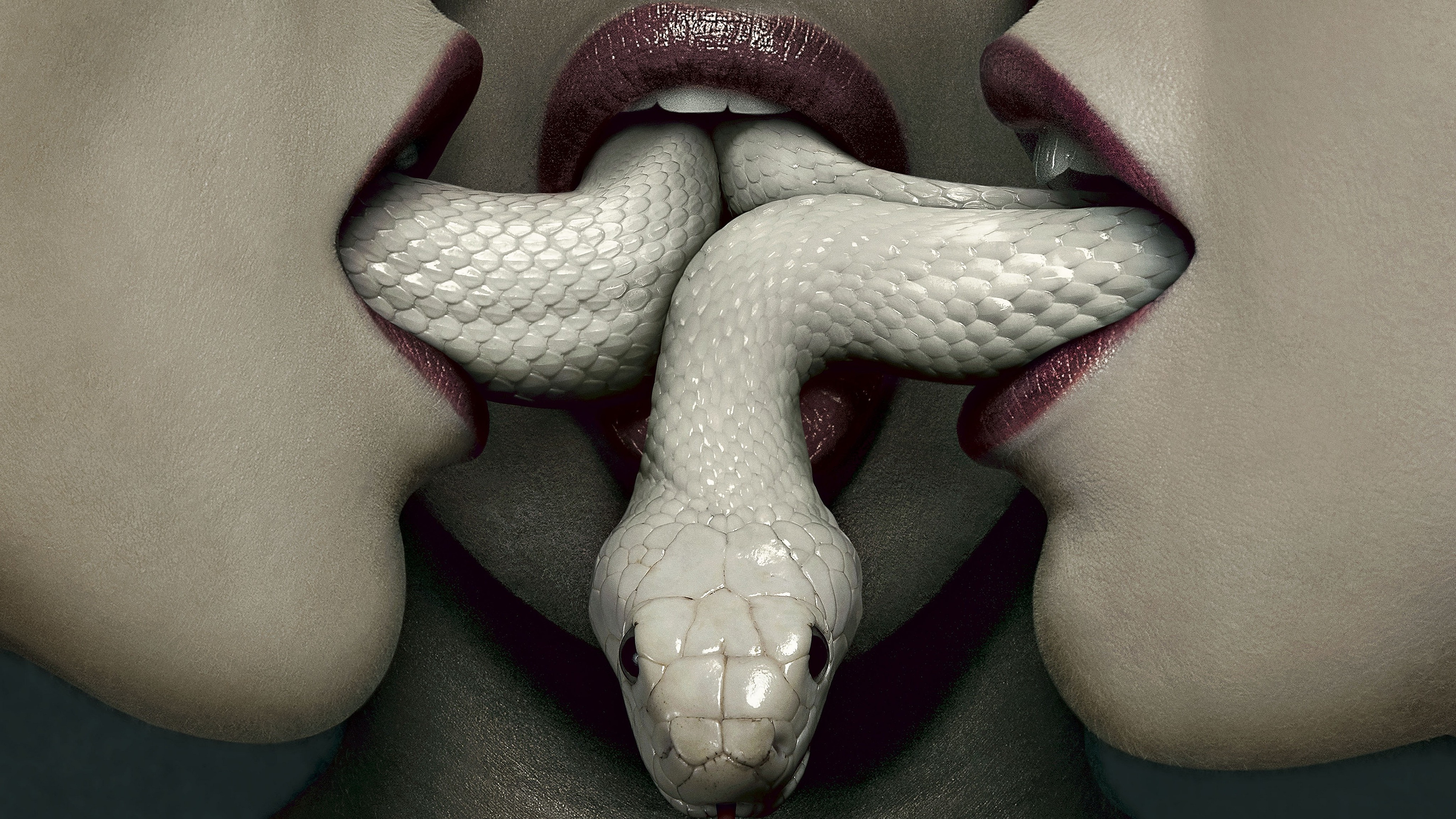 snake american horror story horror Wallpaper