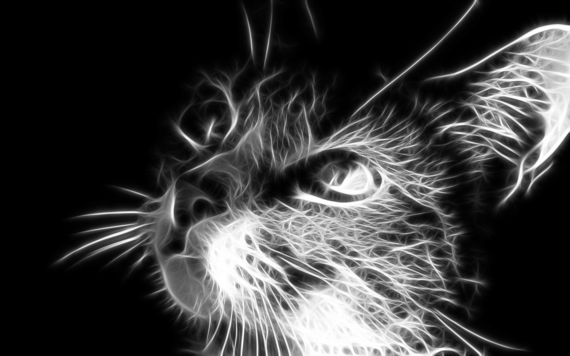 fractalius cat monochrome Wallpaper