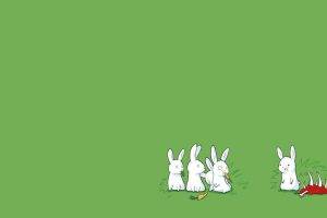 carnivore rabbits green background minimalism