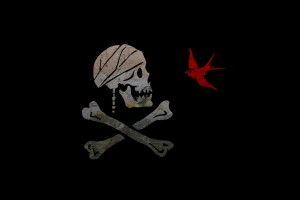 pirates of the caribbean jack sparrow pirate flag