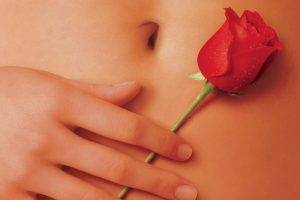american beauty movies rose flowers navel red flowers sexy
