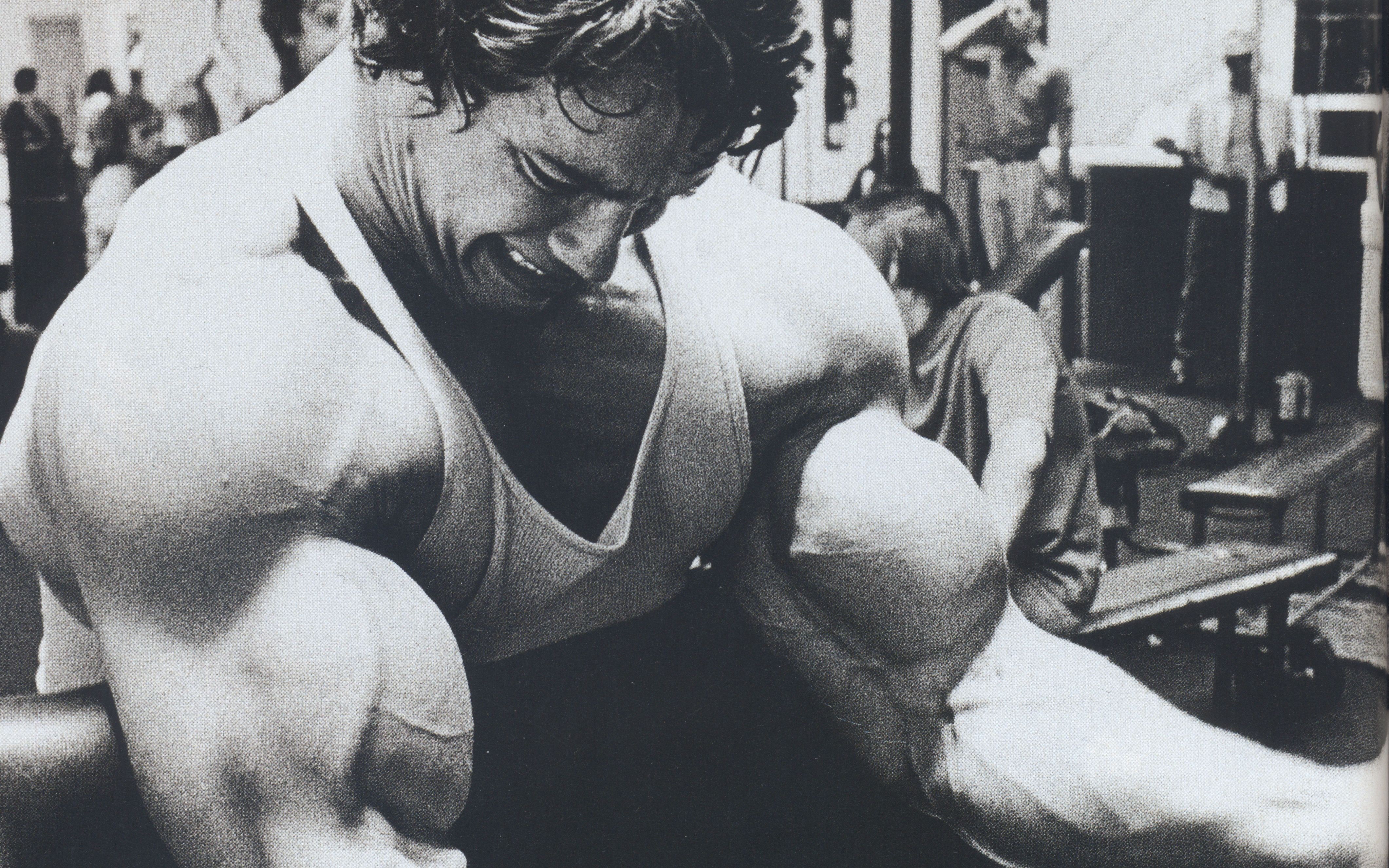 arnold schwarzenegger bodybuilding bodybuilder barbell gyms exercising Wallpaper