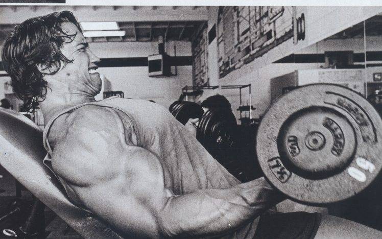 arnold schwarzenegger bodybuilding bodybuilder barbell dumbbells gyms exercising HD Wallpaper Desktop Background