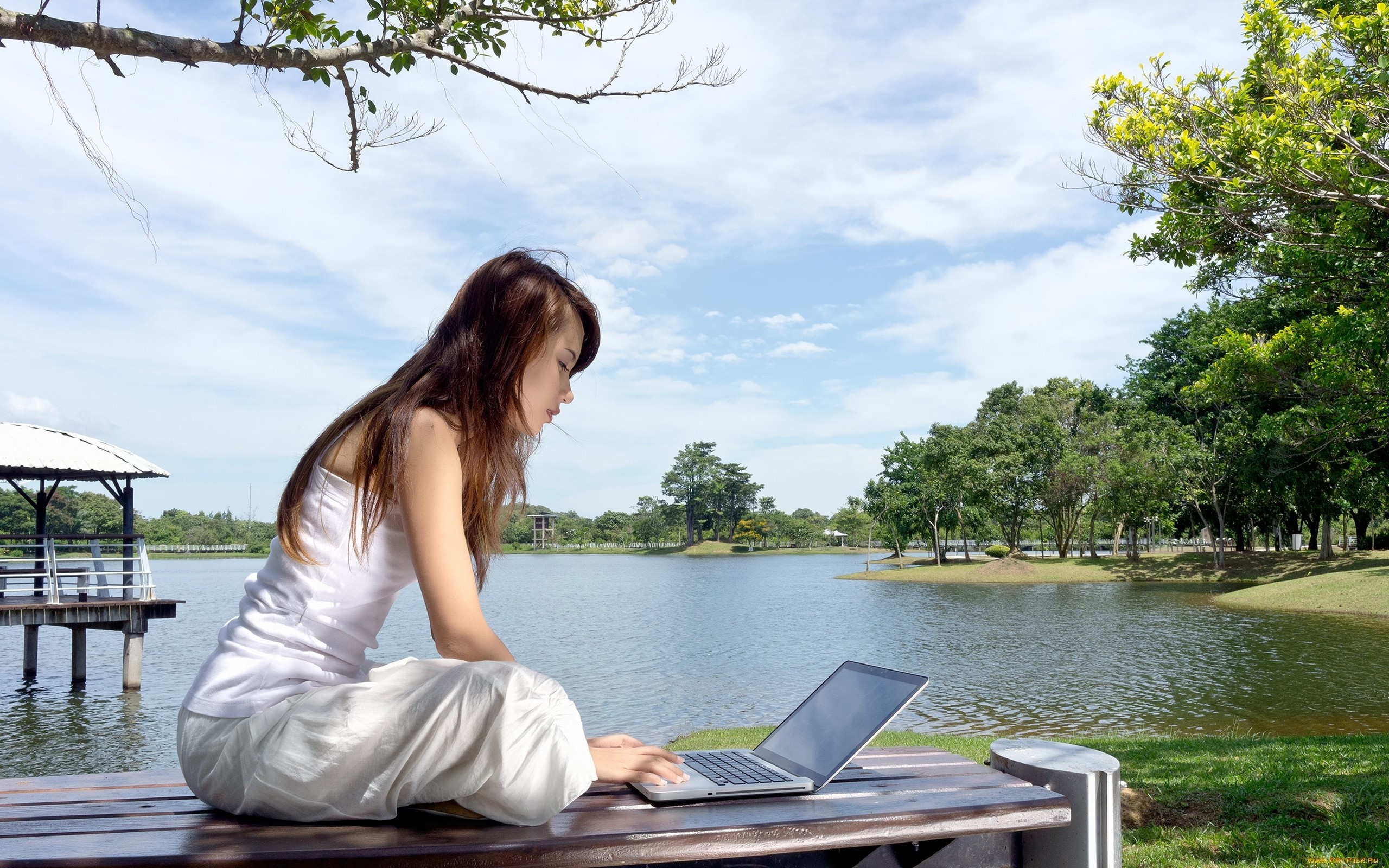 130125 women model brunette long hair women outdoors white dress Asian trees laptop sitting water - How to Plan a Wedding