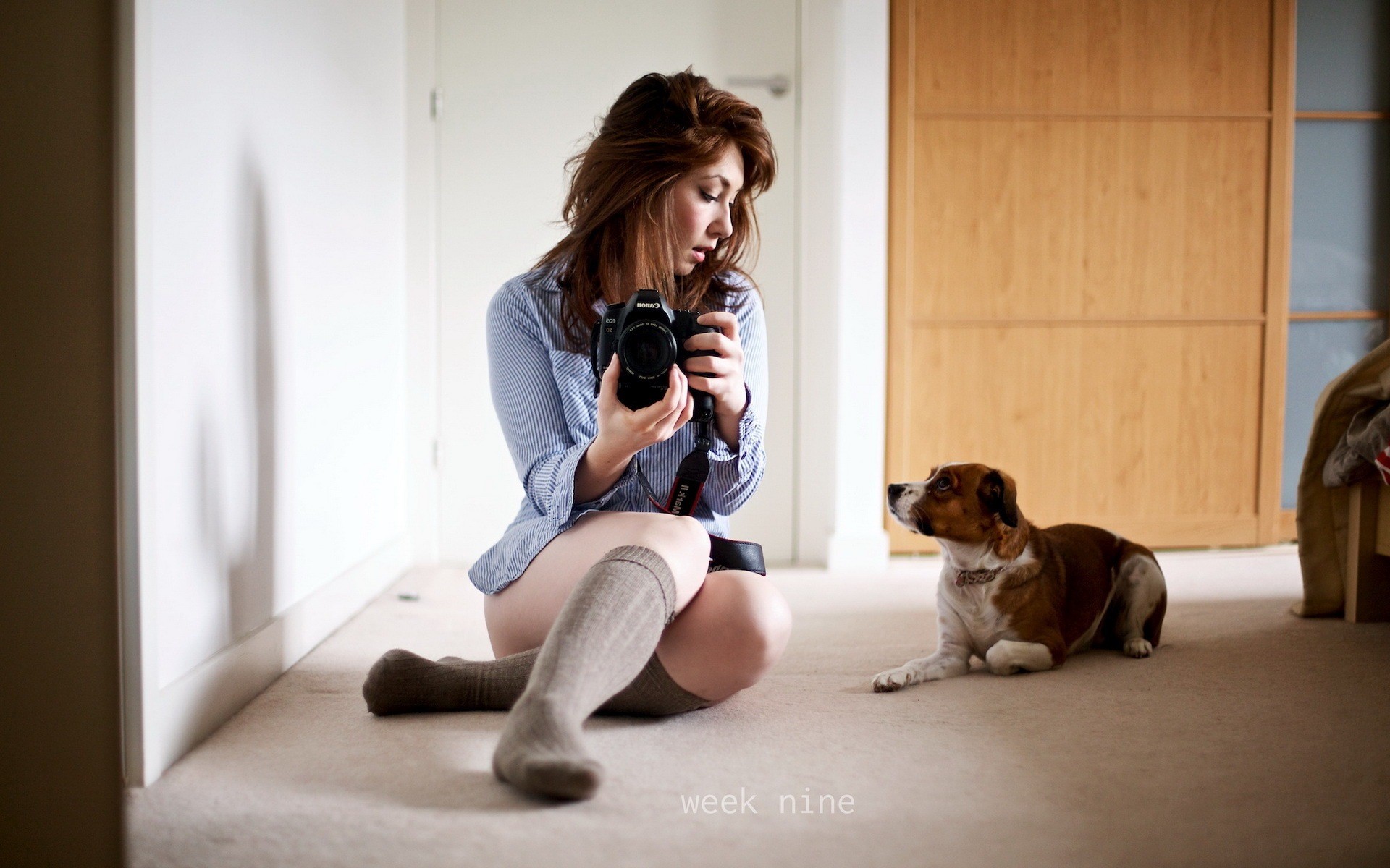 women brunette dog camera jack russell terrier Wallpaper