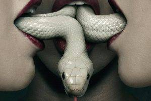women open mouth mouths snake albino red lipstick american horror story