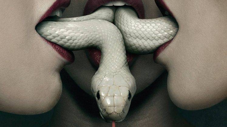 women open mouth mouths snake albino red lipstick american horror story HD Wallpaper Desktop Background