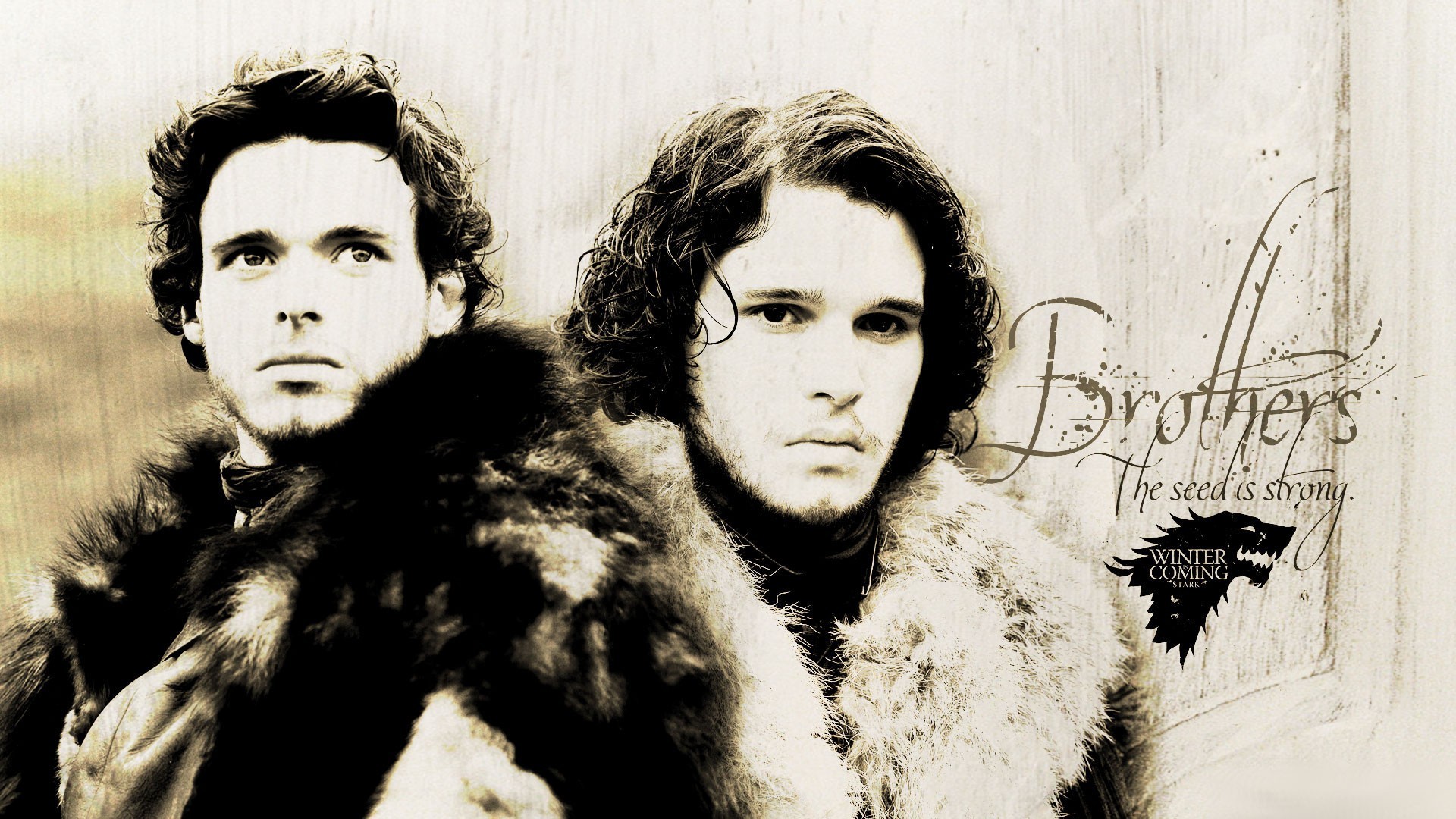 game of thrones robb stark kit harington jon snow brothers Wallpaper