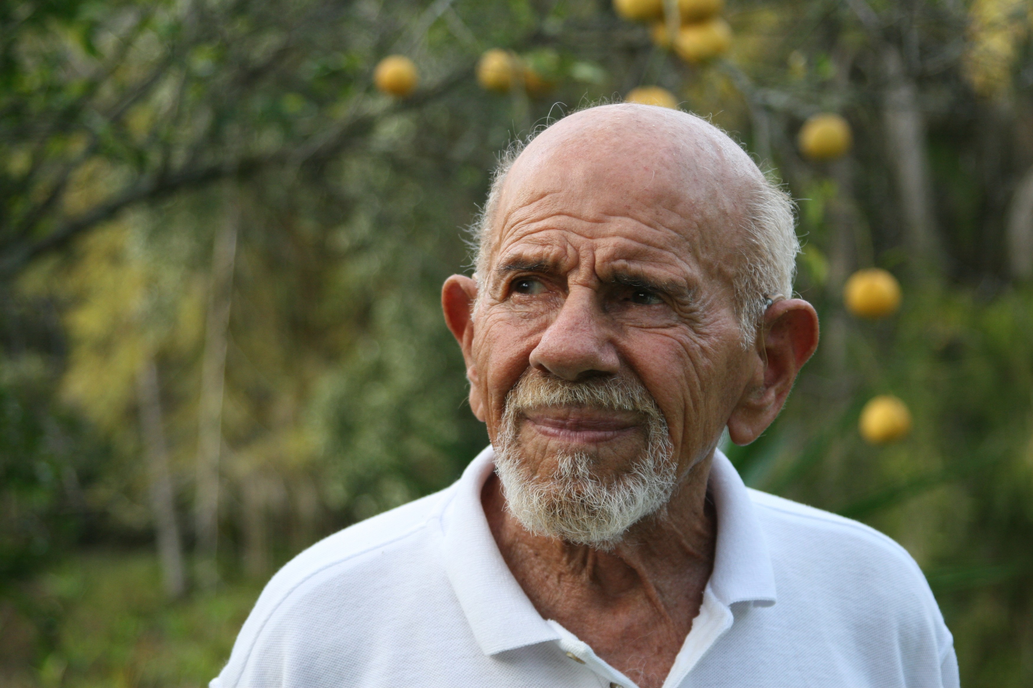 jacque fresco lemons men Wallpaper