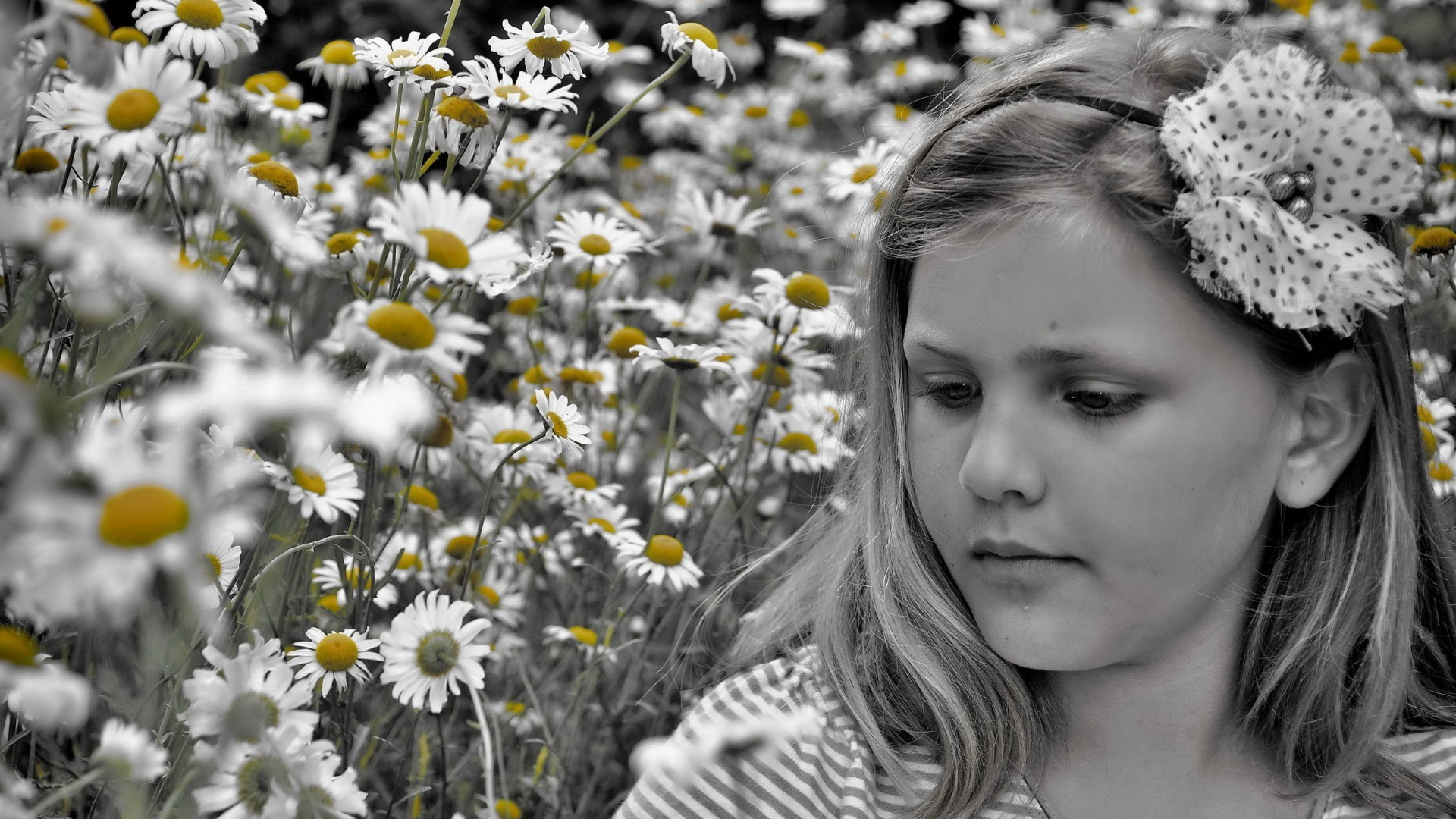 daisies children selective coloring flowers hair bows Wallpaper