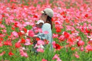 asian baby field poppies women outdoors