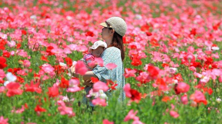 asian baby field poppies women outdoors HD Wallpaper Desktop Background