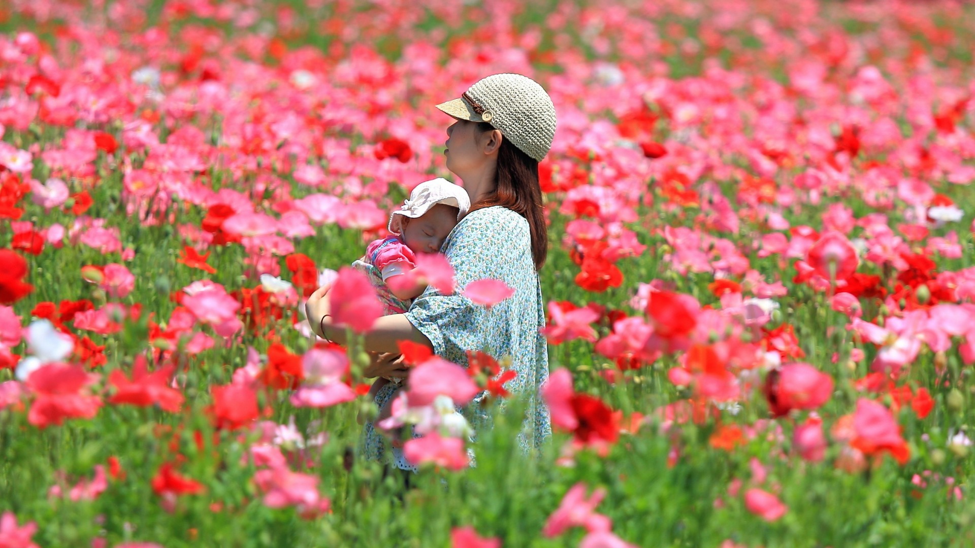 asian baby field poppies women outdoors Wallpaper