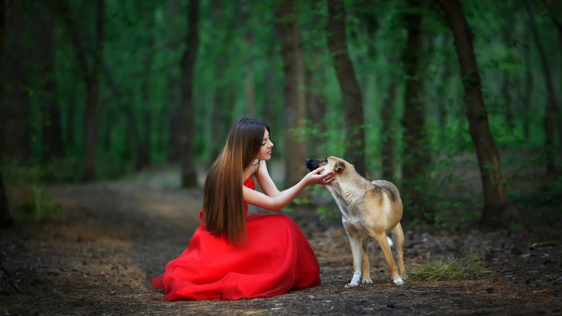 women animals dog brunette straight hair red dress trees Wallpaper
