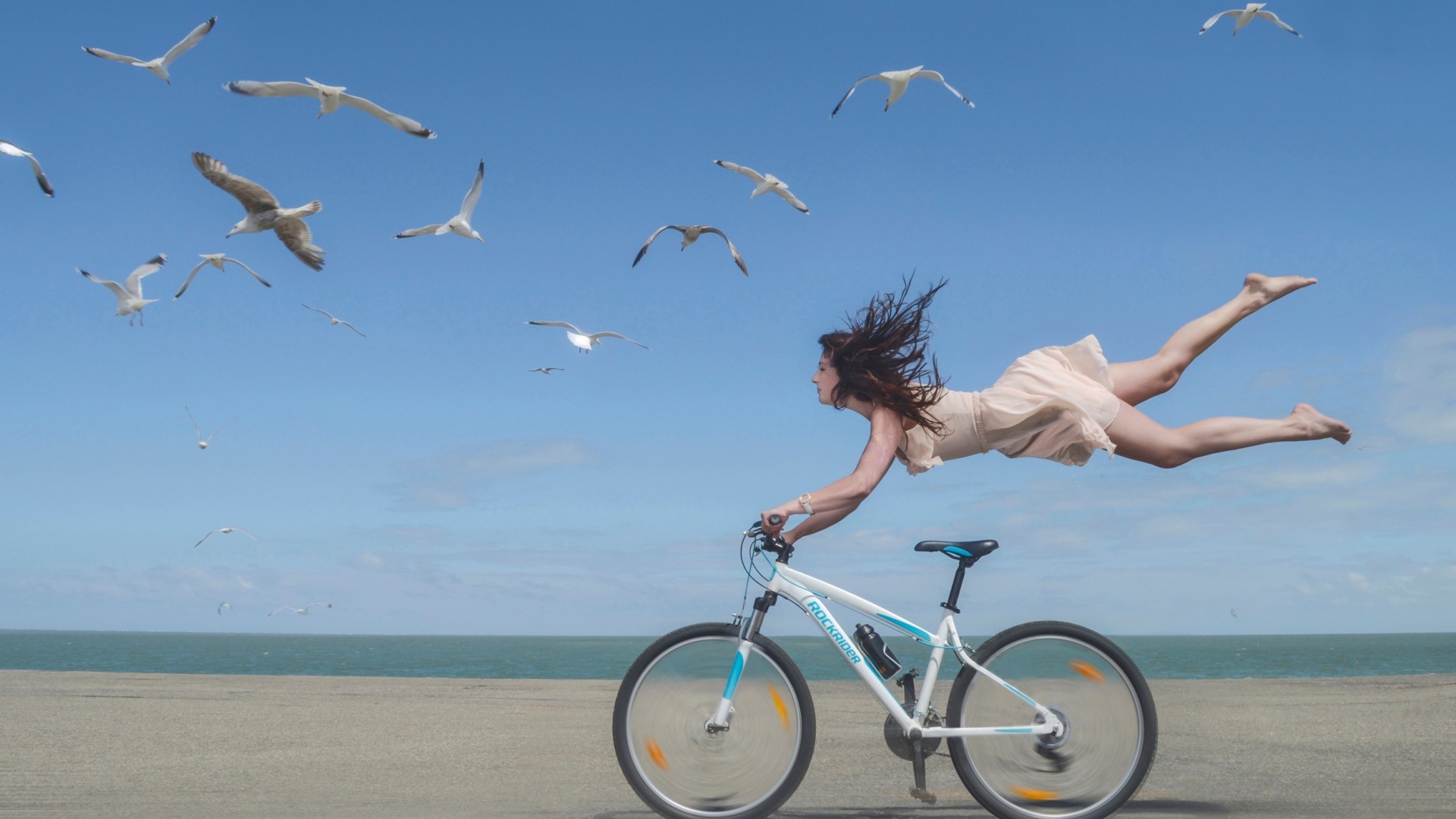 women bicycle beach birds photo manipulation Wallpaper