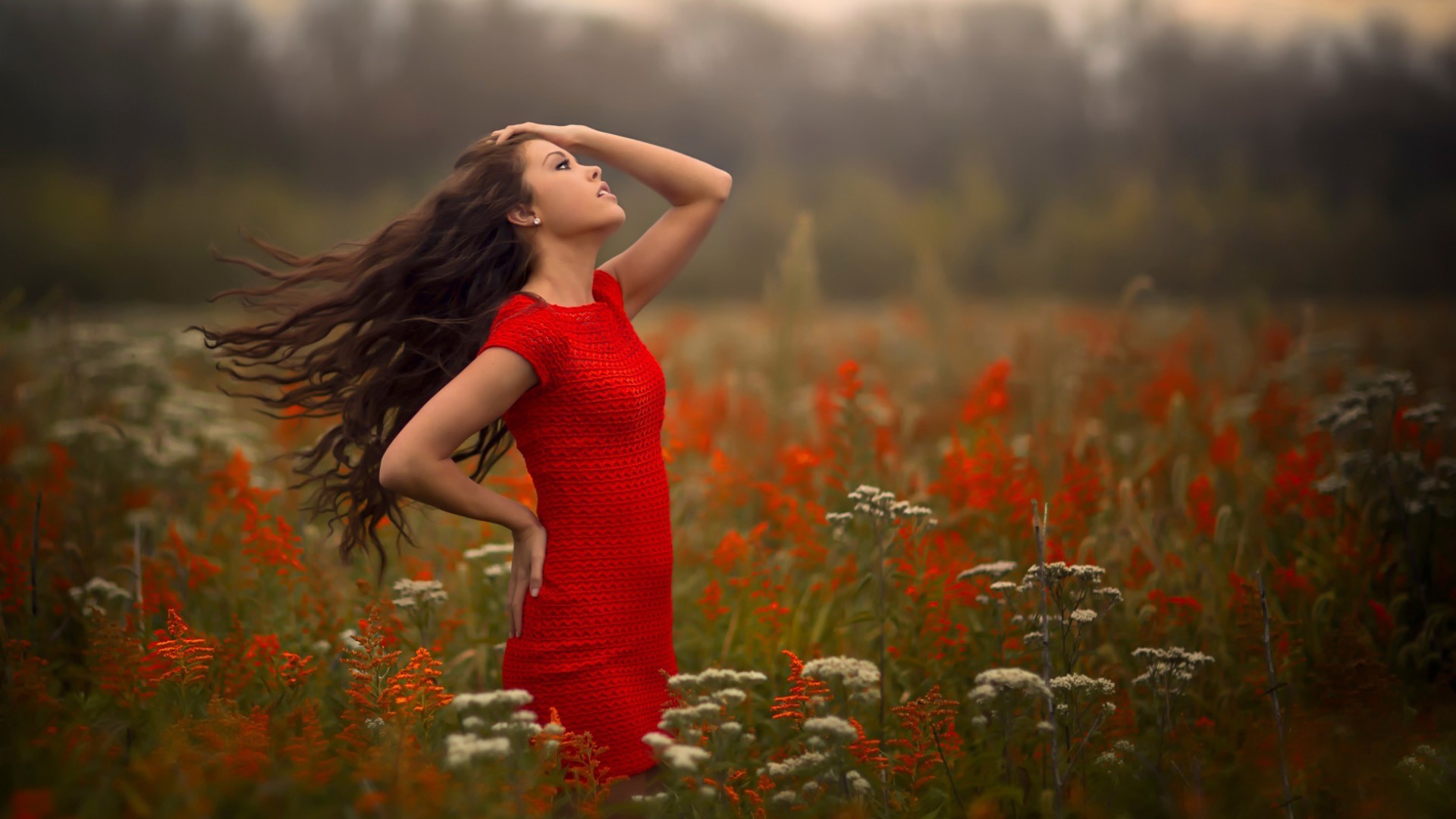 women brunette women outdoors nature field flowers Wallpapers HD