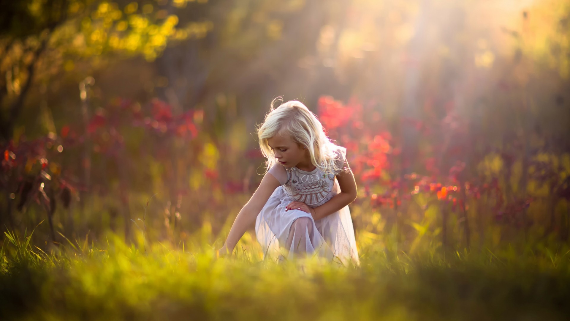 children nature sunlight blonde depth of field white dress crouching jake olson Wallpaper