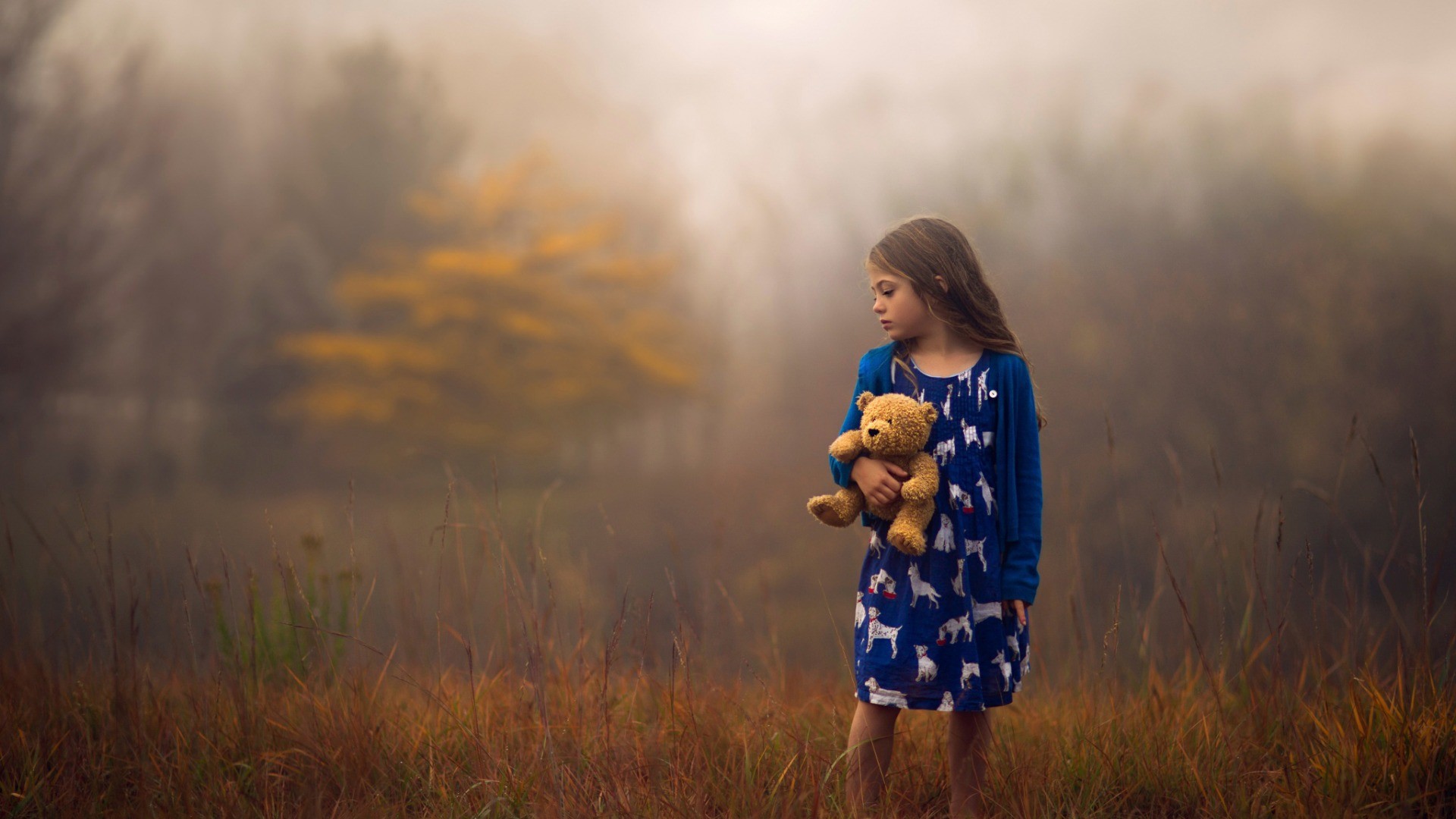 children teddy bears little girl blue dress depth of field jake olson nebraska Wallpaper
