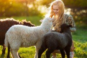 women outdoors women sunlight sheep blonde bokeh