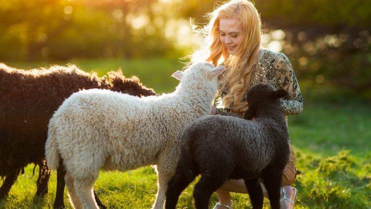 women outdoors women sunlight sheep blonde bokeh HD Wallpaper Desktop Background