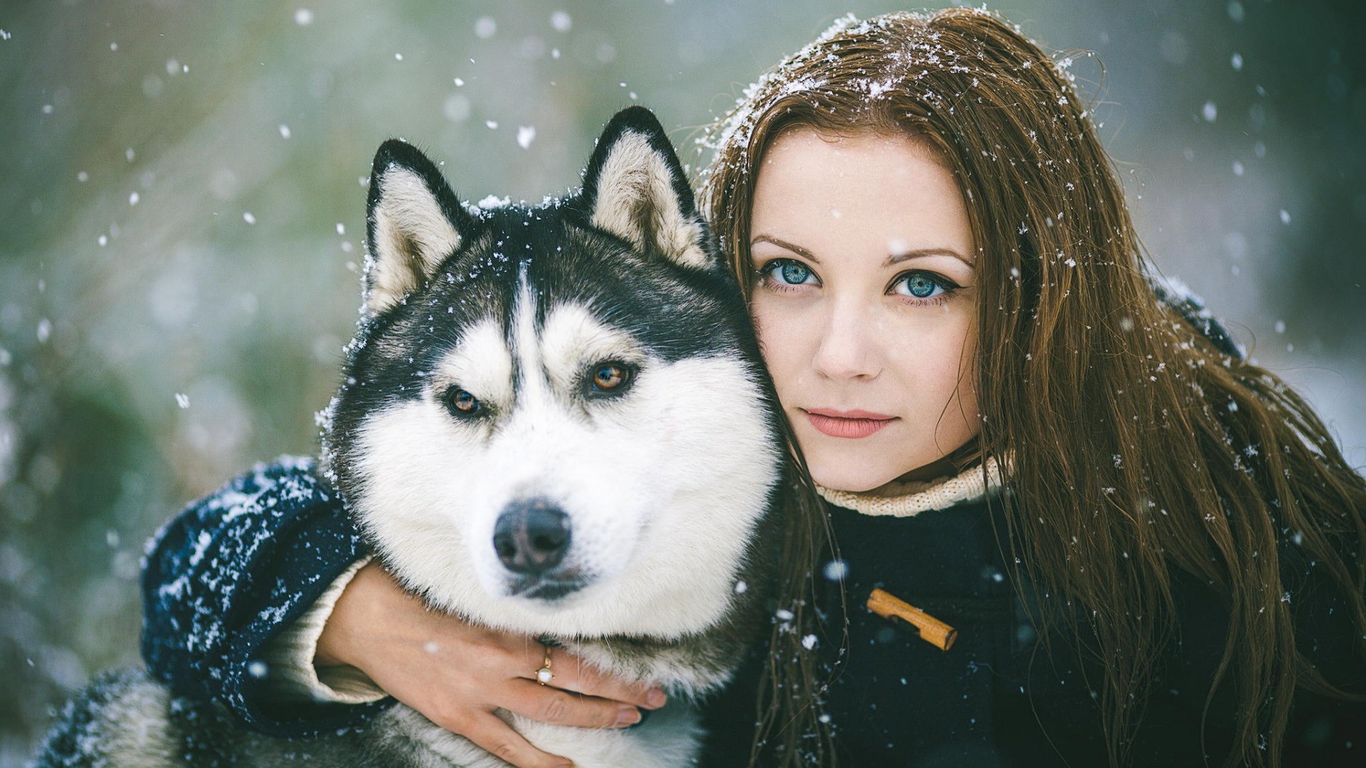 hugging green eyes dog women outdoors snow Wallpaper
